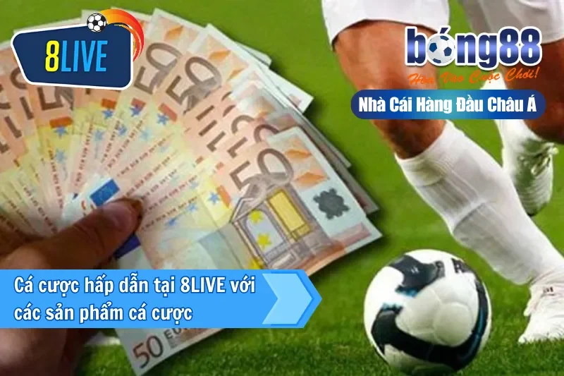 Tổng hợp sản phẩm cá cược đỉnh cao trên thị trường 2025